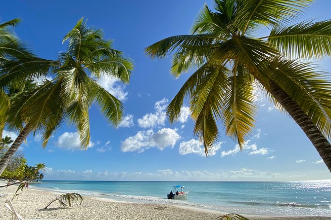Saona Private Full-Day Tour from Punta Cana - Private pace versus full-day crowds: what you gain