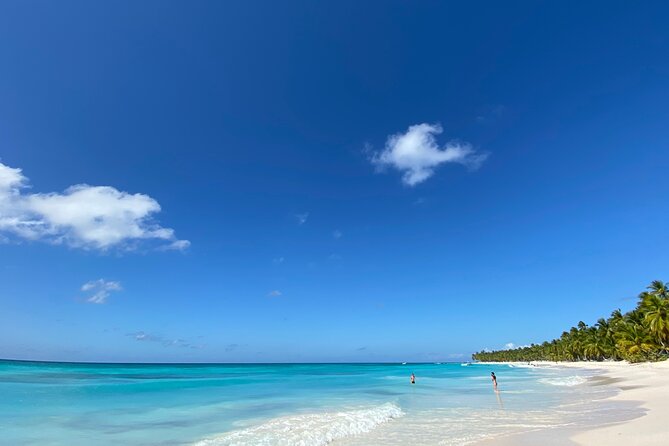 Saona Private Full-Day Tour from Punta Cana - Price and value: is $660 per person fair for Saona?