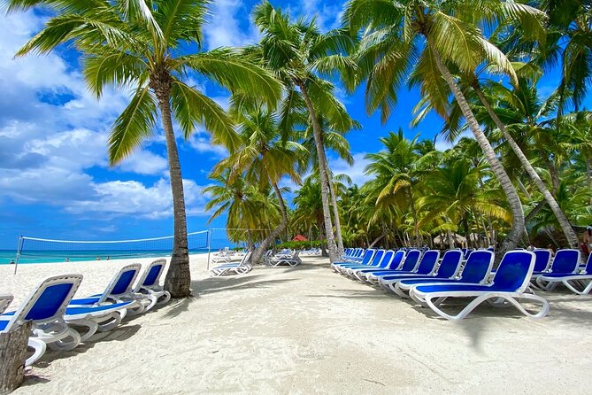 Saona Private Tour with Own Guide and Transport from Punta Cana - Lunch and Drinks: Included Food Plus a Beach Bar Setup