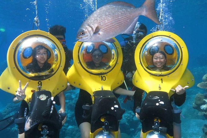 Scuba Doo Diving Experience in Punta Cana - Key things I’d clock before you go
