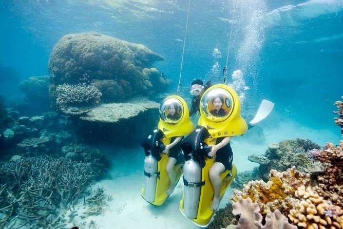 Scuba Doo Diving Experience in Punta Cana - The Glass-Bottom Boat (Panoramic One): Use the 30 Minutes Wisely