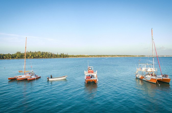 Small-Group Cruising and Snorkeling Catamaran Tour - Drinks and Snacks: What’s Included, What It Costs, and the Value