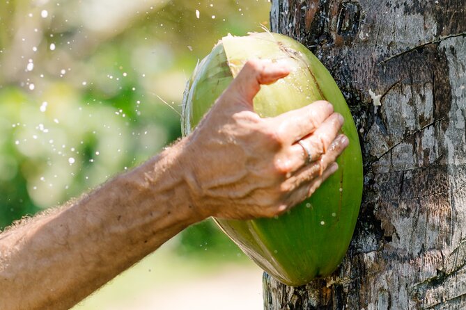 Small Group Exclusive 4x4 ATV Punta Cana: Jungle & Wild Beaches! - First hour: coconut paths, coastline views, and that first “let’s go” moment