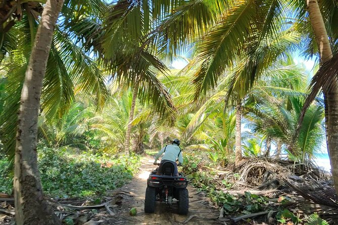 Small Group Exclusive 4x4 ATV Punta Cana: Jungle & Wild Beaches! - Punta del Coco: palm grove coconuts and big ocean views