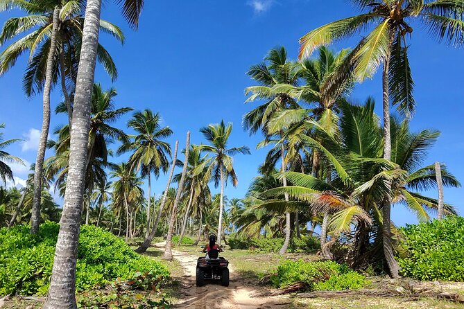 Small Group Exclusive 4x4 ATV Punta Cana: Jungle & Wild Beaches! - ATV handling: what the terrain feels like in real life