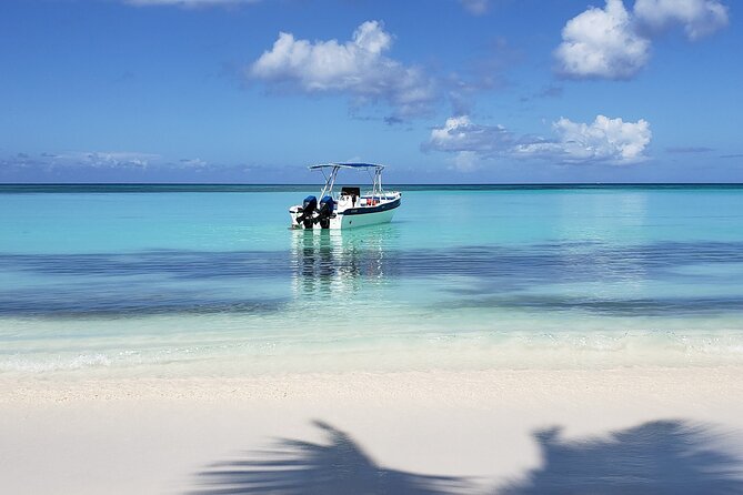 Small Group: Saona Island Full Day Tour - Key things to know before you go