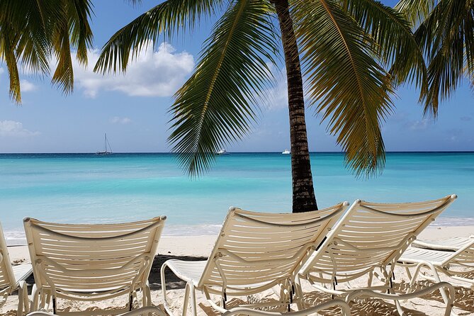 Small Group: Saona Island Full Day Tour - Why this Saona day feels more personal than the big-boat version