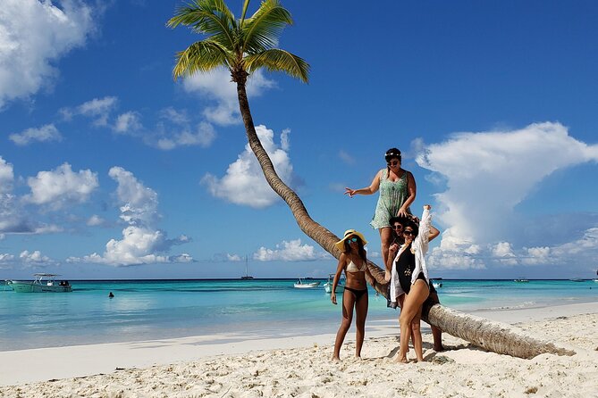 Small Group: Saona Island Full Day Tour - Abanico Beach on Isla Saona: lunch, chairs, and open bar