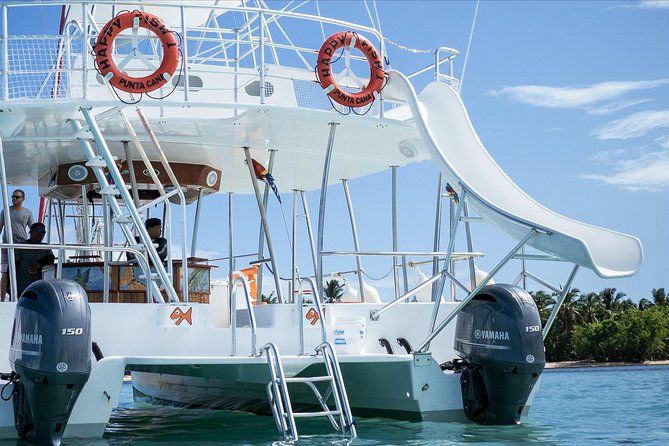 Small Group Snorkeling Cruise with Open Bar and Light Snacks - Snorkeling near Cabeza de Toro and Cabo Engaño: what to expect underwater