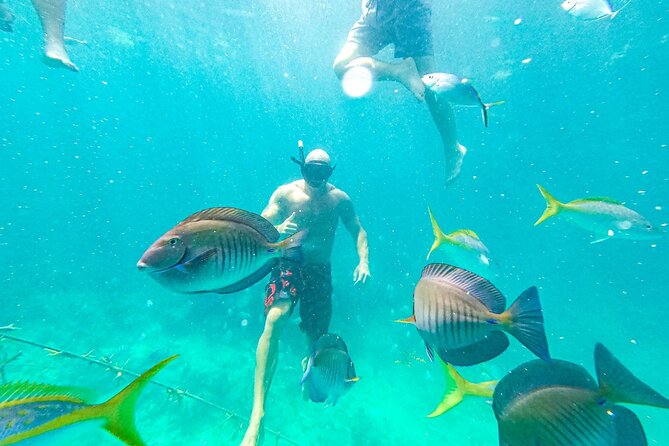 Snorkel Lovers for All Ages & Premium Seafood Lunch in Punta Cana - The Return to Natural Pool: Lunch, Boat Slide, and Relax Mode