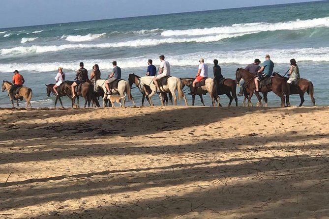 Sunset beach horsebackriding Punta Cana - Key Things That Make This Punta Cana Horse Ride Worth Your Time