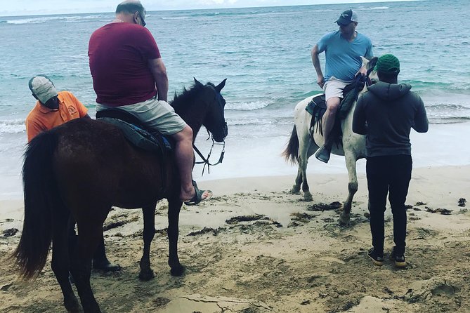 Sunset beach horsebackriding Punta Cana - The Ride Activities: Jog, Canter, Photos, and Coconut Water