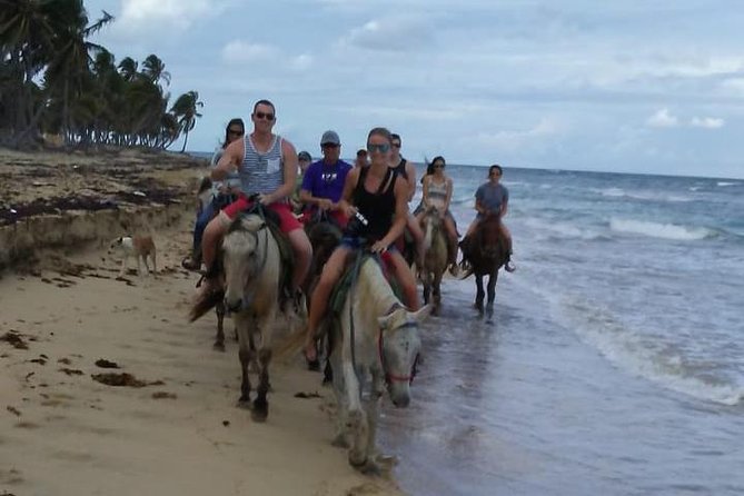Sunset beach horsebackriding Punta Cana - Pickup, Transport Time, and Why Logistics Can Make or Break the Mood