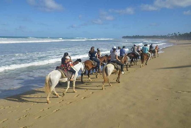 Sunset beach horsebackriding Punta Cana - Photos, Souvenirs, and the On-Site Shop: How to Avoid Sticker Shock