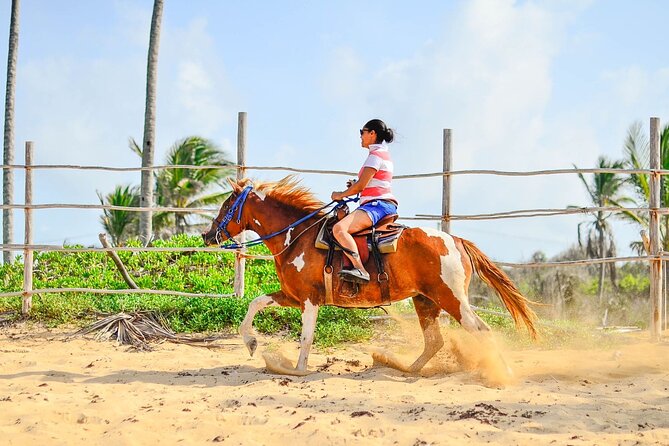 Sunset Horseback Riding Tour in Punta Cana (Private Option) - Rancho Un Regalo de Dios: where the sunset ride actually starts