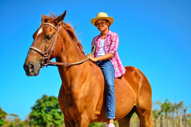 Sunset Horseback Riding Tour in Punta Cana (Private Option) - The tropical trail to Boca de Maimón (and why it’s more than just a ride)