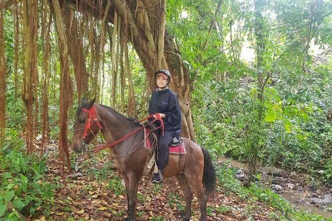 The Ultimate Dominican Horseback Riding Adventure - Key things to know before you ride the Rancho Cana Tequila trail