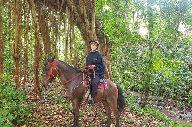 The Ultimate Dominican Horseback Riding Adventure - Cultural add-ons between the trail and lunch: cocoa, wild fruit, and Paso Higueyano horses