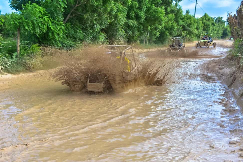 Ultimate Buggy Expedition from Punta Cana with blue cenote - Quick hits: what matters most on this buggy trip