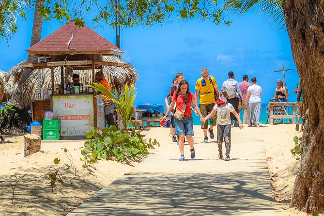 Ultimate Dune Buggies / ATVs / Polaris Tour In Punta Cana - Mamajuana Samples: Included Taste vs. Purchase Pressure