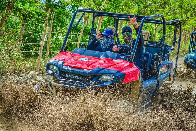 Vip Punta cana Buggies - Tours Point Ranch: Coffee, Cacao, and Tobacco Without the Classroom Vibe