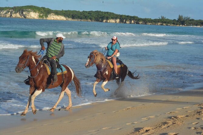 Want to Learn to Gallop at Bavaro Punta Cana Beach! - Key things I’d circle before you book