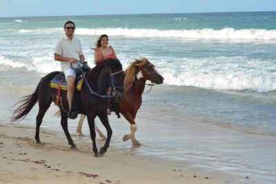 Want to Learn to Gallop at Bavaro Punta Cana Beach! - Getting mounted: learning paces without feeling thrown in