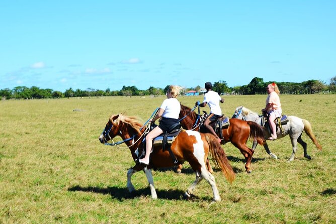 Want to Learn to Gallop at Bavaro Punta Cana Beach! - The real value of $65.95 per person