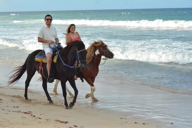 Want to Learn to Gallop at Bavaro Punta Cana Beach! - Getting mounted: learning paces without feeling thrown in