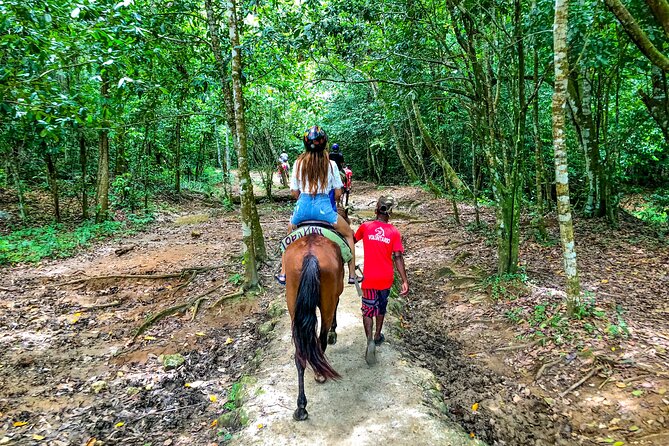 Whale Watching & Limón Waterfall Day Trip - The horse ride through lush Samaná vegetation: fun, but think about animal welfare