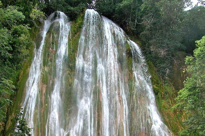 Whale Watching & Limón Waterfall Day Trip - Lunch at the waterfall stop: plan for food, not a food fantasy