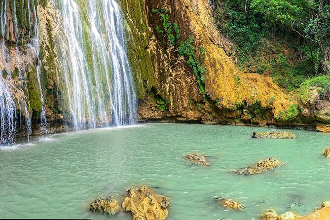 Whale Watching & Limón Waterfall Day Trip - Price and value: what $169 buys in a 13-hour day